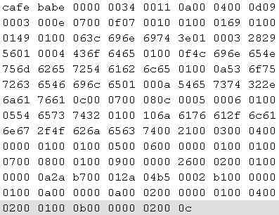jvm-info24